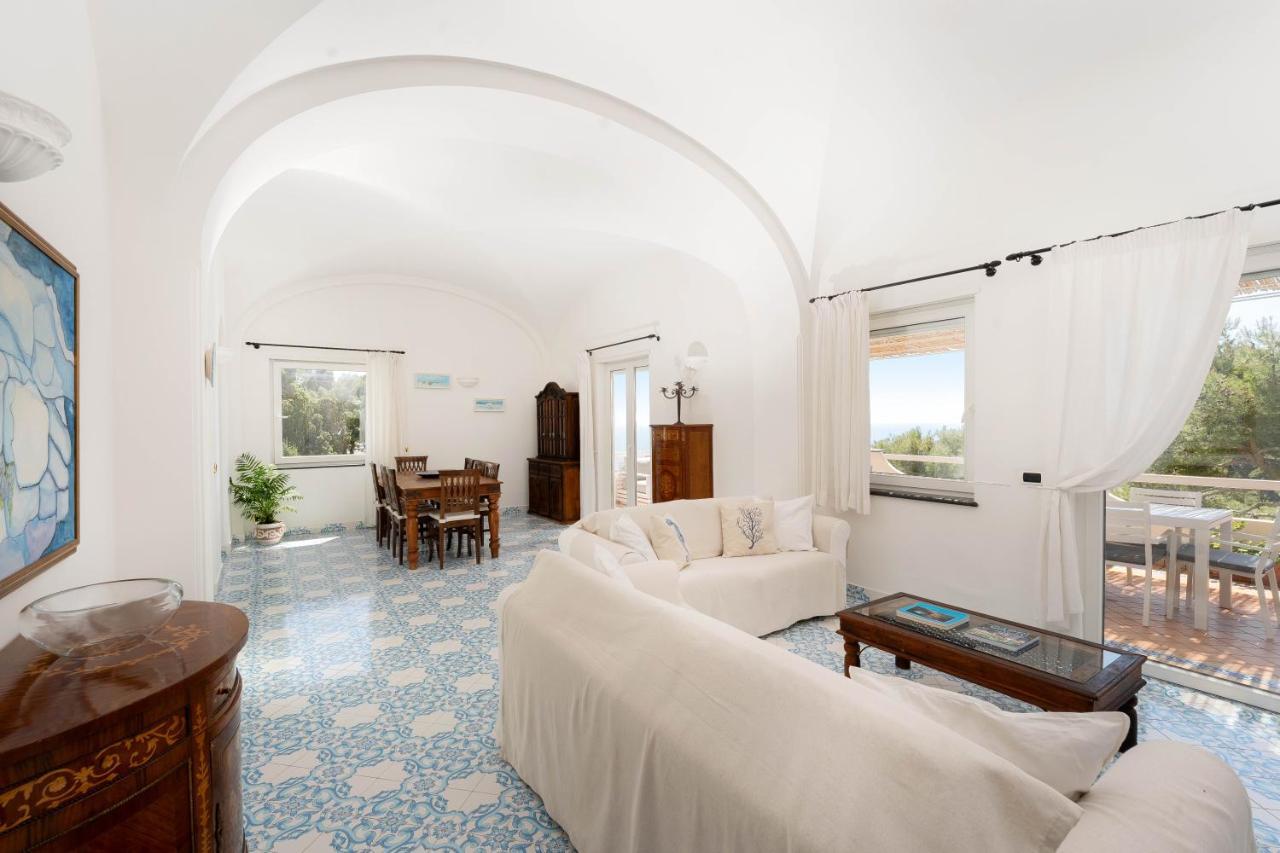Oliveto Capri Apartments エクステリア 写真