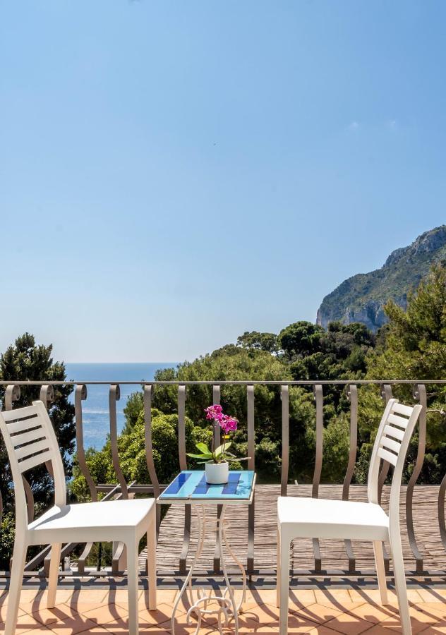 Oliveto Capri Apartments エクステリア 写真