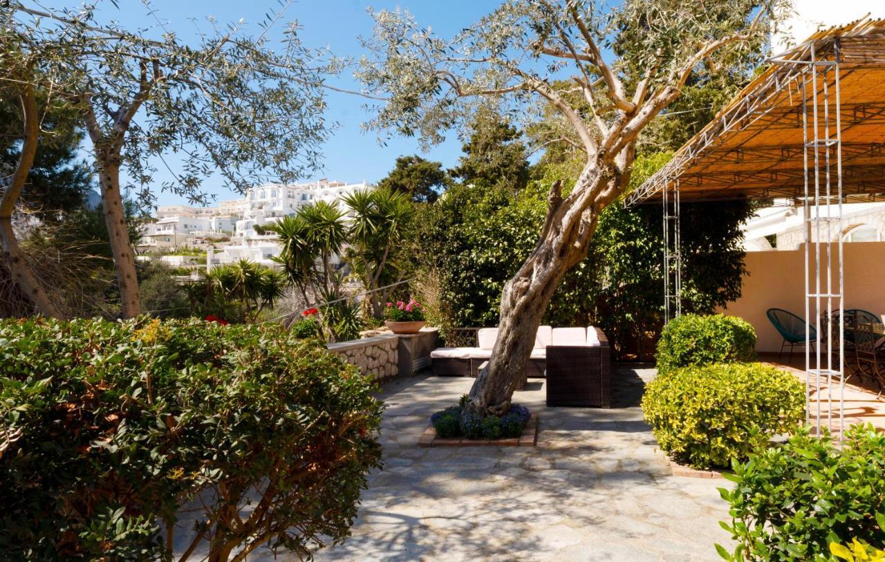 Oliveto Capri Apartments エクステリア 写真